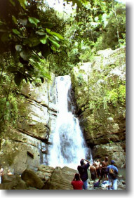 El_Yunque_Waterfall.jpg